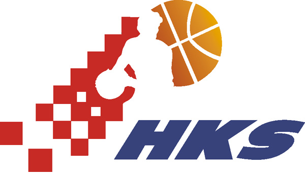 Croatia 1992-Pres Primary Logo iron on heat transfer